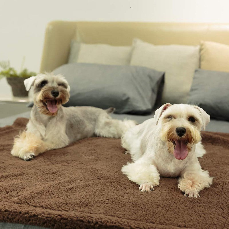 Plush Pet Blanket Dog Mat Cat Mat Pet Air Conditioning Mat Pet Plush Mat THRU7