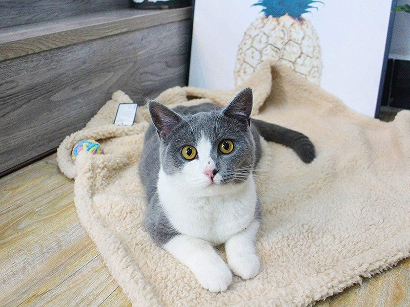 Plush Pet Blanket Dog Mat Cat Mat Pet Air Conditioning Mat Pet Plush Mat THRU7