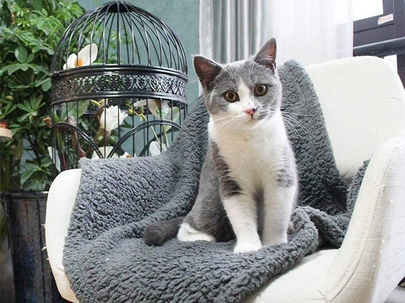 Plush Pet Blanket Dog Mat Cat Mat Pet Air Conditioning Mat Pet Plush Mat THRU7
