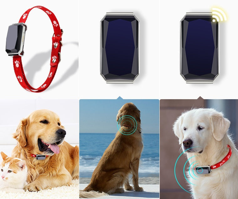 Beidou GPS pet positioning collar THRU7