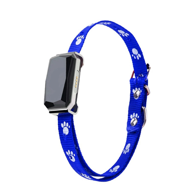 GPS pet positioning collar THRU7