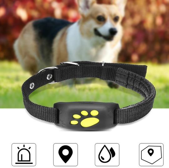GPS Pet Tracker THRU7
