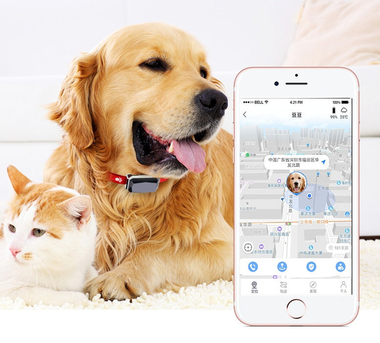 Beidou GPS pet positioning collar THRU7