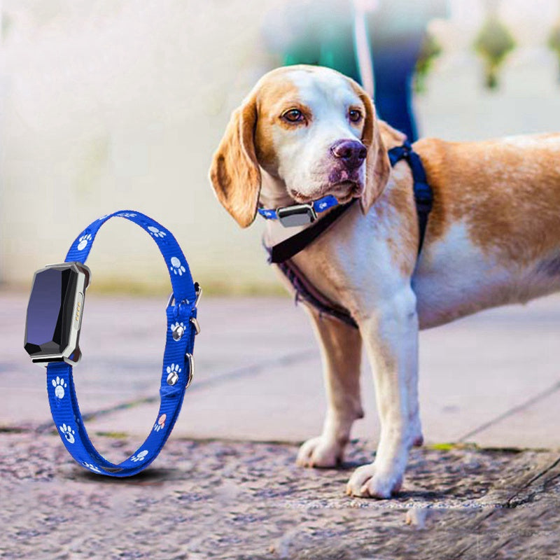 GPS pet positioning collar THRU7